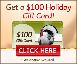 Thanksgiving Holiday Gift Card Offer